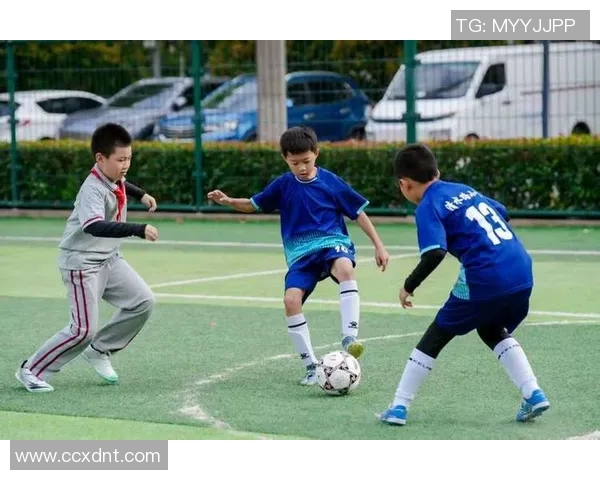 踢足球的乐趣与技巧分享让你在绿茵场上尽情挥洒汗水与激情