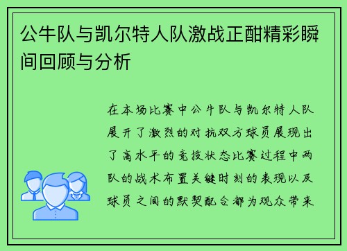 公牛队与凯尔特人队激战正酣精彩瞬间回顾与分析