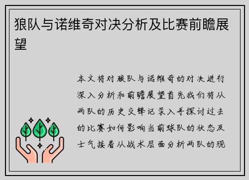 狼队与诺维奇对决分析及比赛前瞻展望