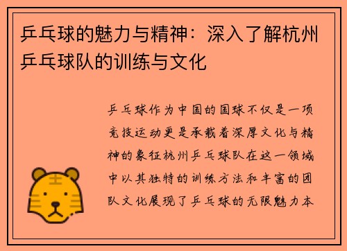 乒乓球的魅力与精神：深入了解杭州乒乓球队的训练与文化