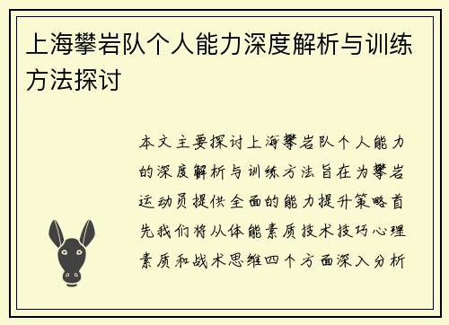 上海攀岩队个人能力深度解析与训练方法探讨