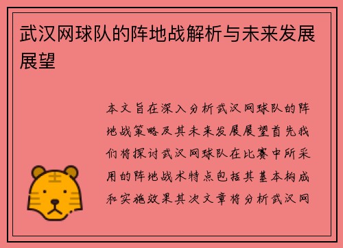 武汉网球队的阵地战解析与未来发展展望