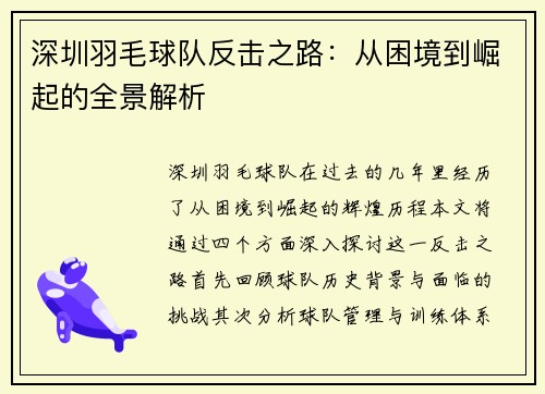 深圳羽毛球队反击之路：从困境到崛起的全景解析