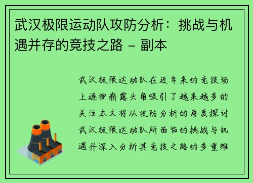 武汉极限运动队攻防分析：挑战与机遇并存的竞技之路 - 副本